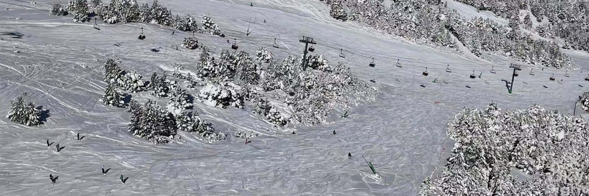 Snow-covered landscape with trees and ski lifts in winter.